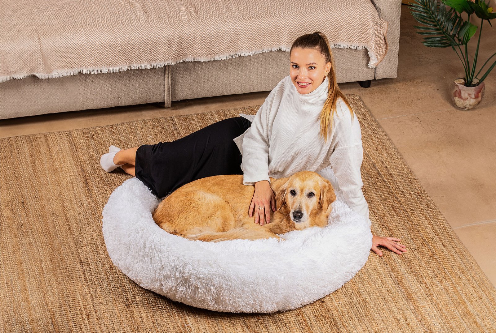 Belune pets brand banner
