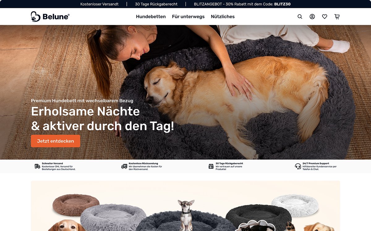 Belune website screen 1