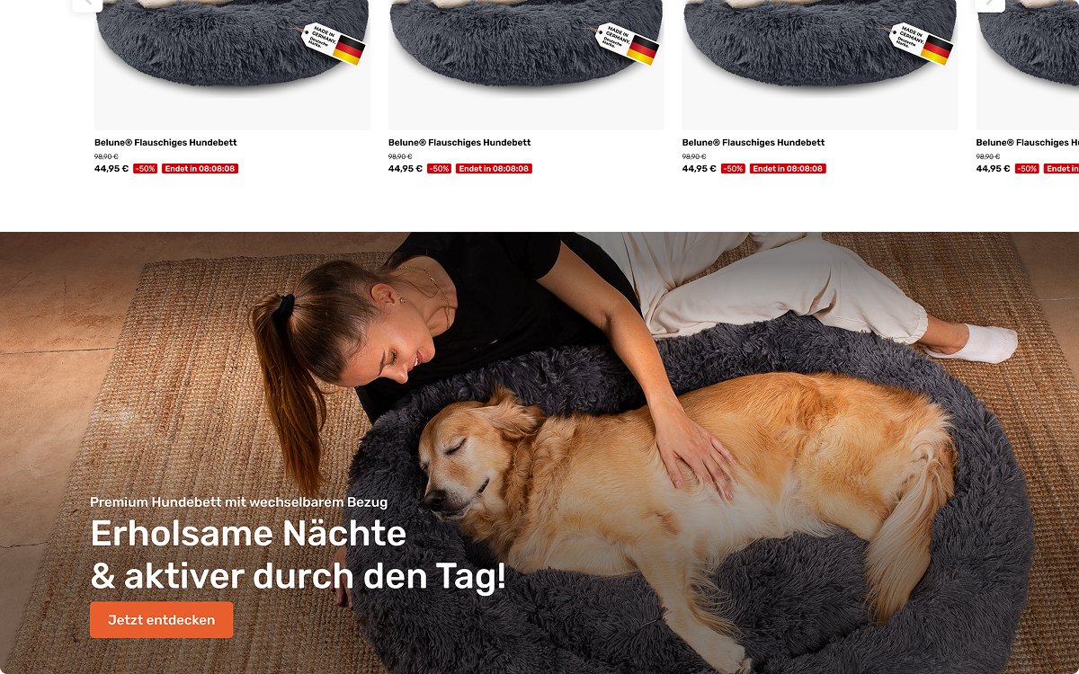 Belune website screen 4
