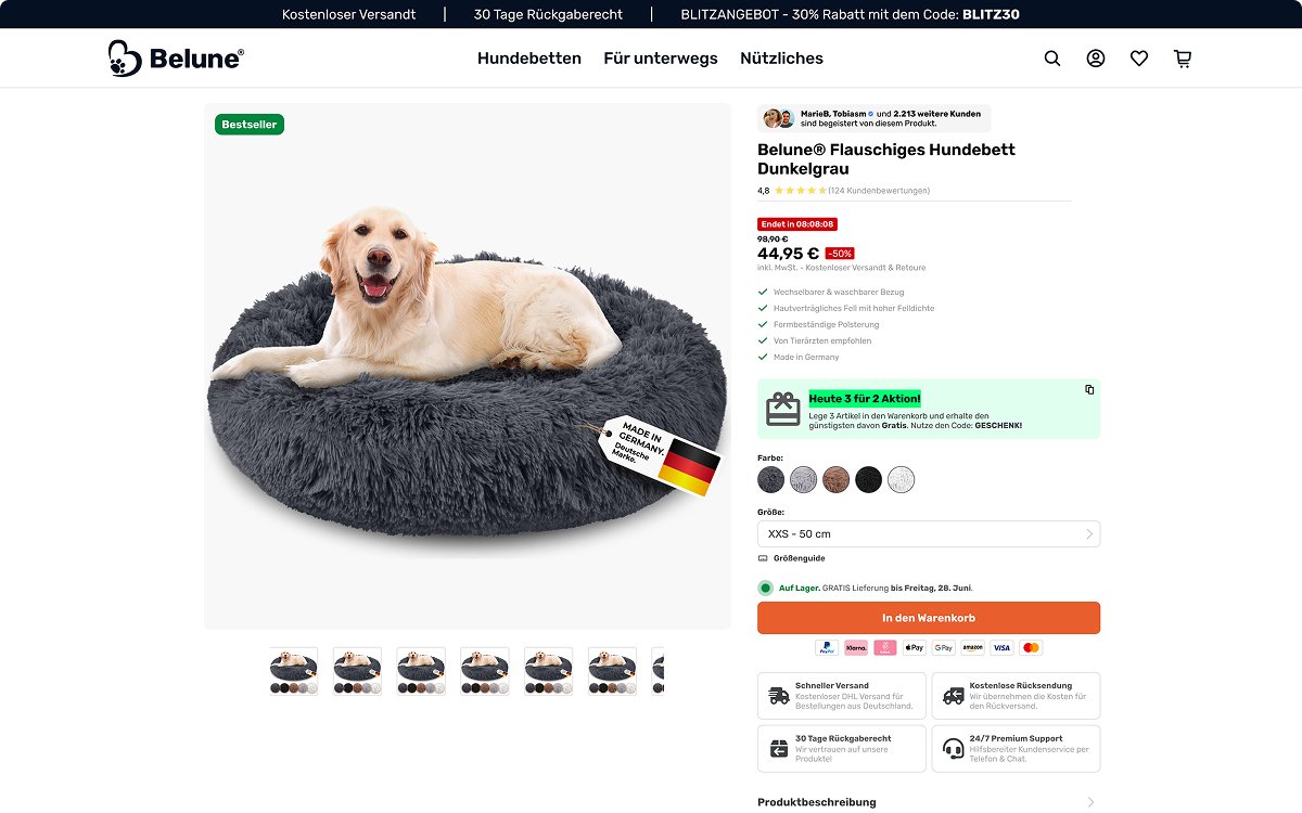 Belune website screen 8